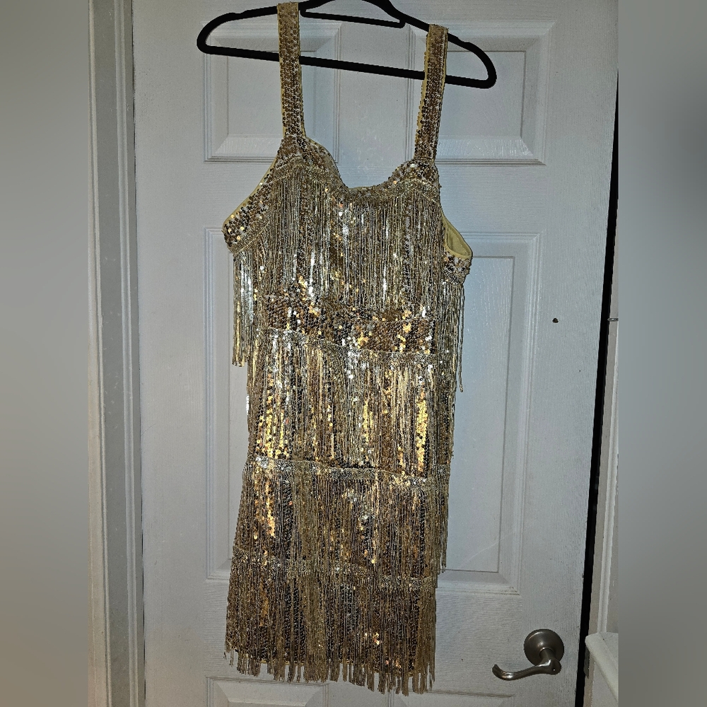 Flapper Dress, Halloween, Party, Dress Up, Gold Sequin Fringe Dress 2XL
